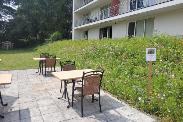 Seehotel (Kell am See)
